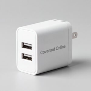 Dual Port Fast Charger